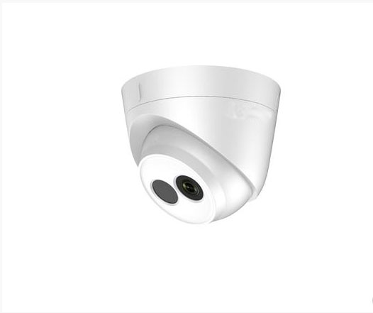 日夜型半球型网络摄像机